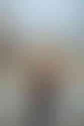 Louisville portrait photographer