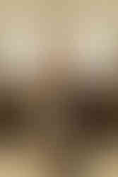 Indiana courthouse wedding photographer