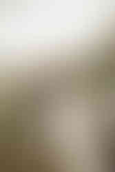 Midwest photographer