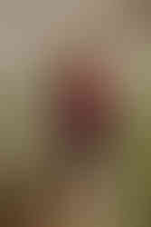 Louisville personal branding photographer