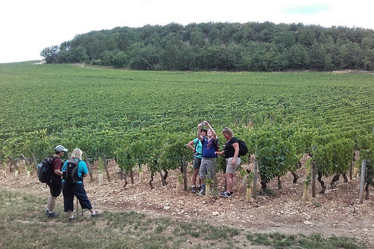 bourgogne-111004.jpg