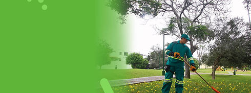 limpieza-areas-verdes-banner.jpg