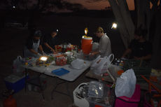 DSC_0309 (Medium).JPG