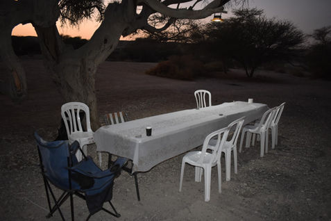 DSC_0302 (Medium).JPG