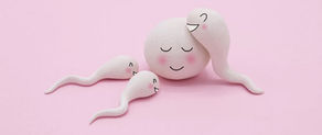 Fertility: A Journey of Hope and Resilience