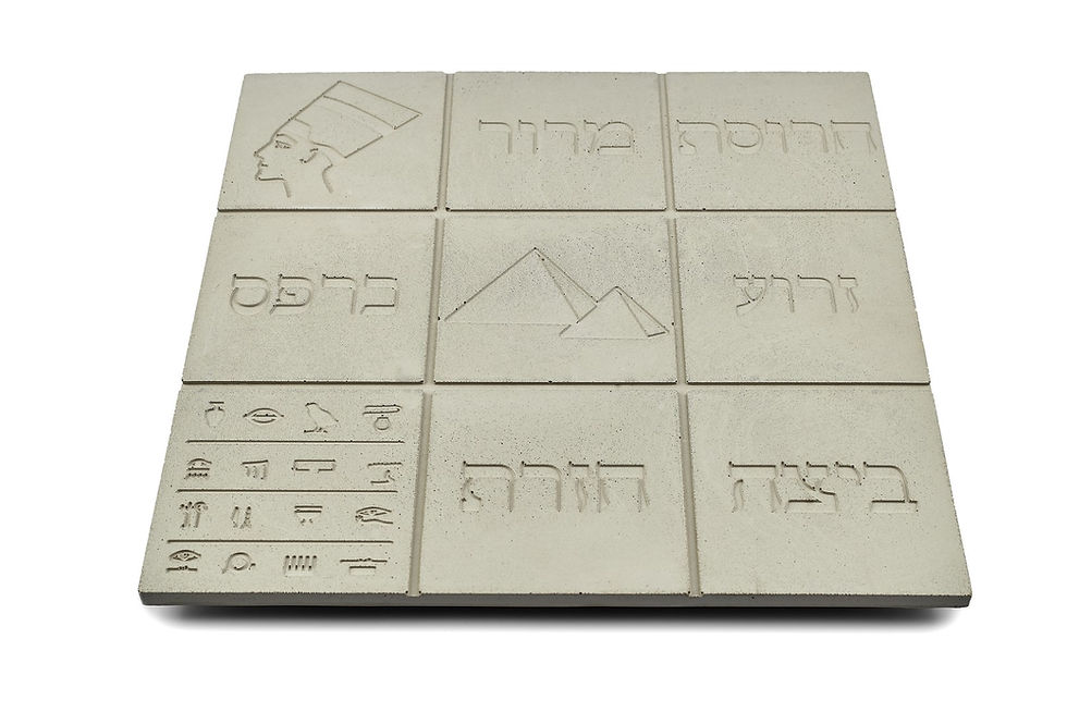 תמונה ממוזערת: צלחת פסח בעיצוב ייחודי ומינימליסטי