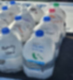 native plants, natural habitat