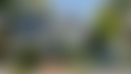 Spring 2026 Lawns To Legumes Grant Program – Applications Open June, 2025