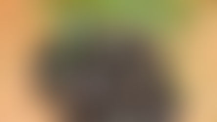 Capture carbon right in your own backyard!