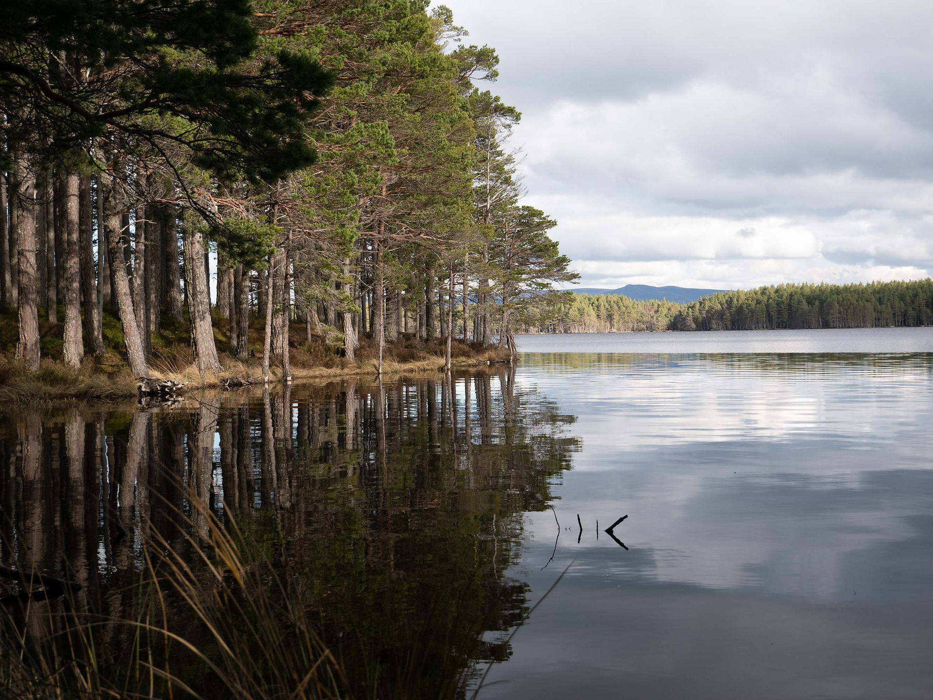 Loch Garten