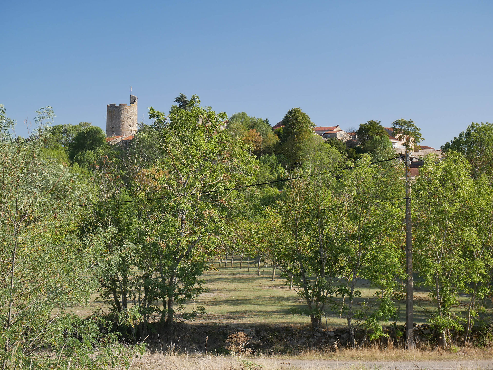 P1070563