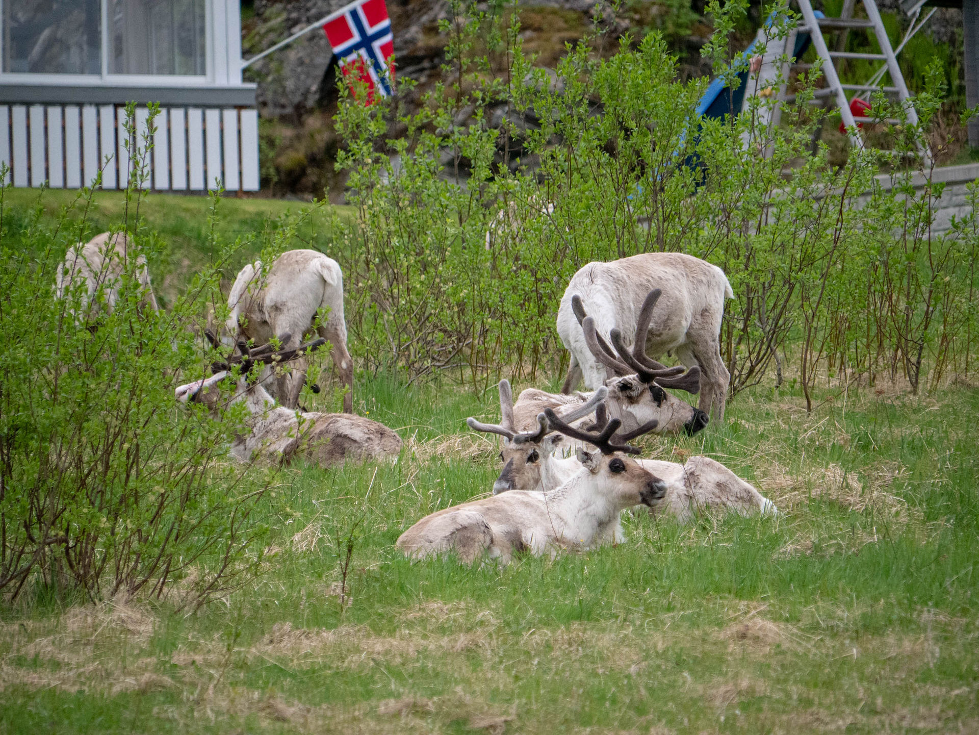 P1050659