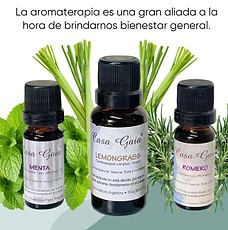 “Menta, romero y lemongrass un trío que transforma tu hogar” (3).jpg