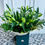 Thumbnail: Hand-Tied Lily Bouquet