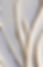 IMG_2464.jpeg