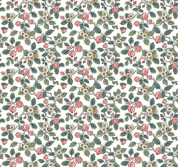 Vista frontal de Papel Tapiz Jardin VP1412