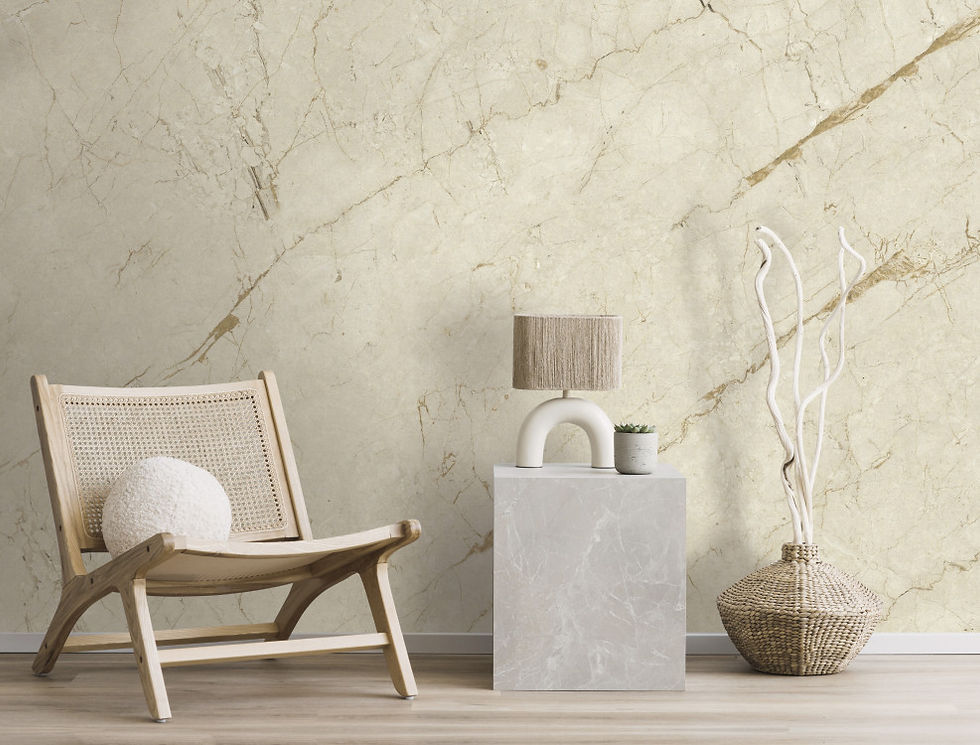 Vista en muro del Mural de Papel Tapiz Carrara 2 85659