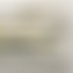 Rollos de Papel Tapiz