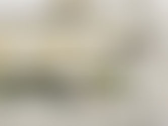 Rollos de Papel Tapiz