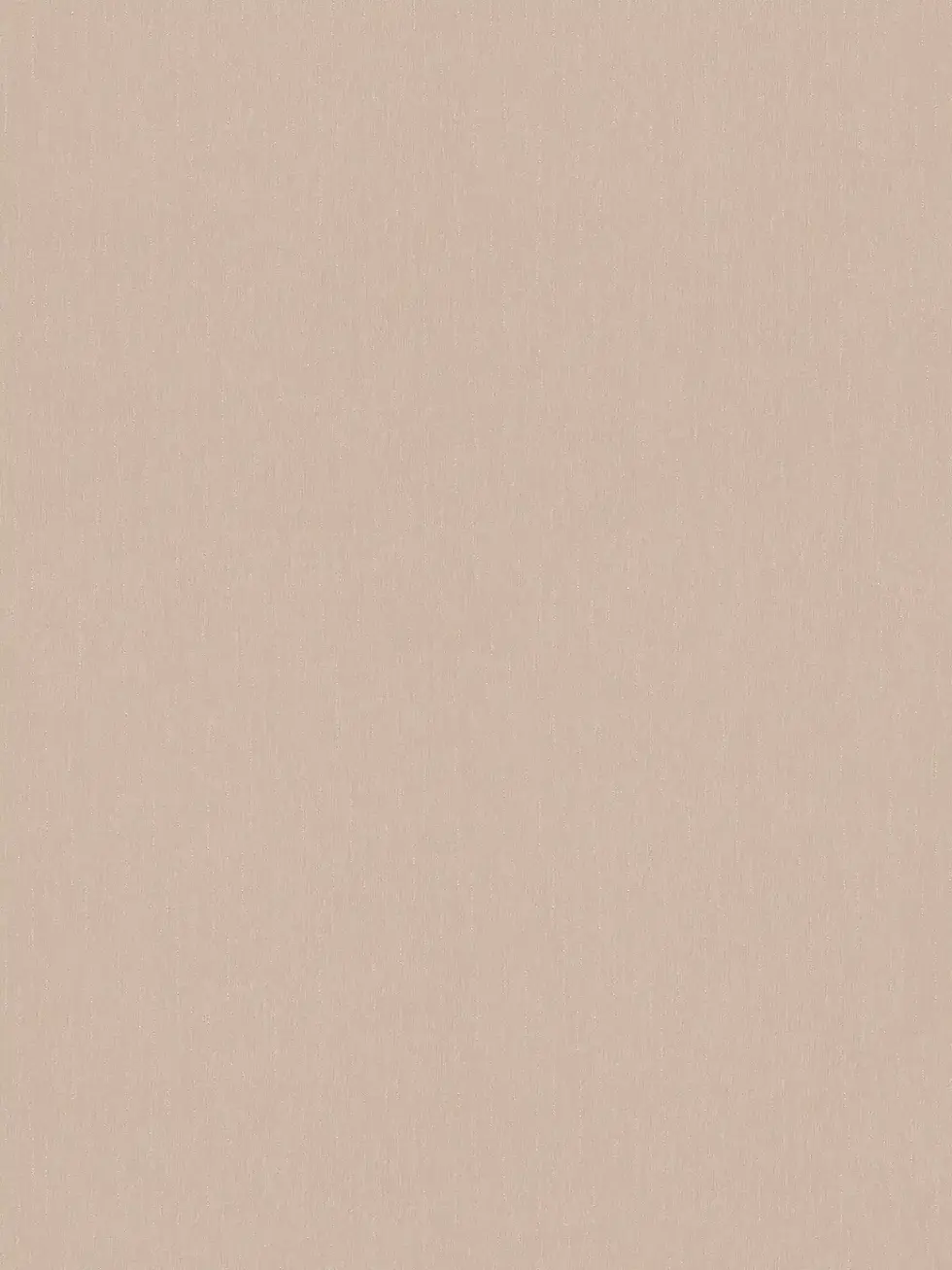 Vista frontal de Papel Tapiz Versace VI 343276