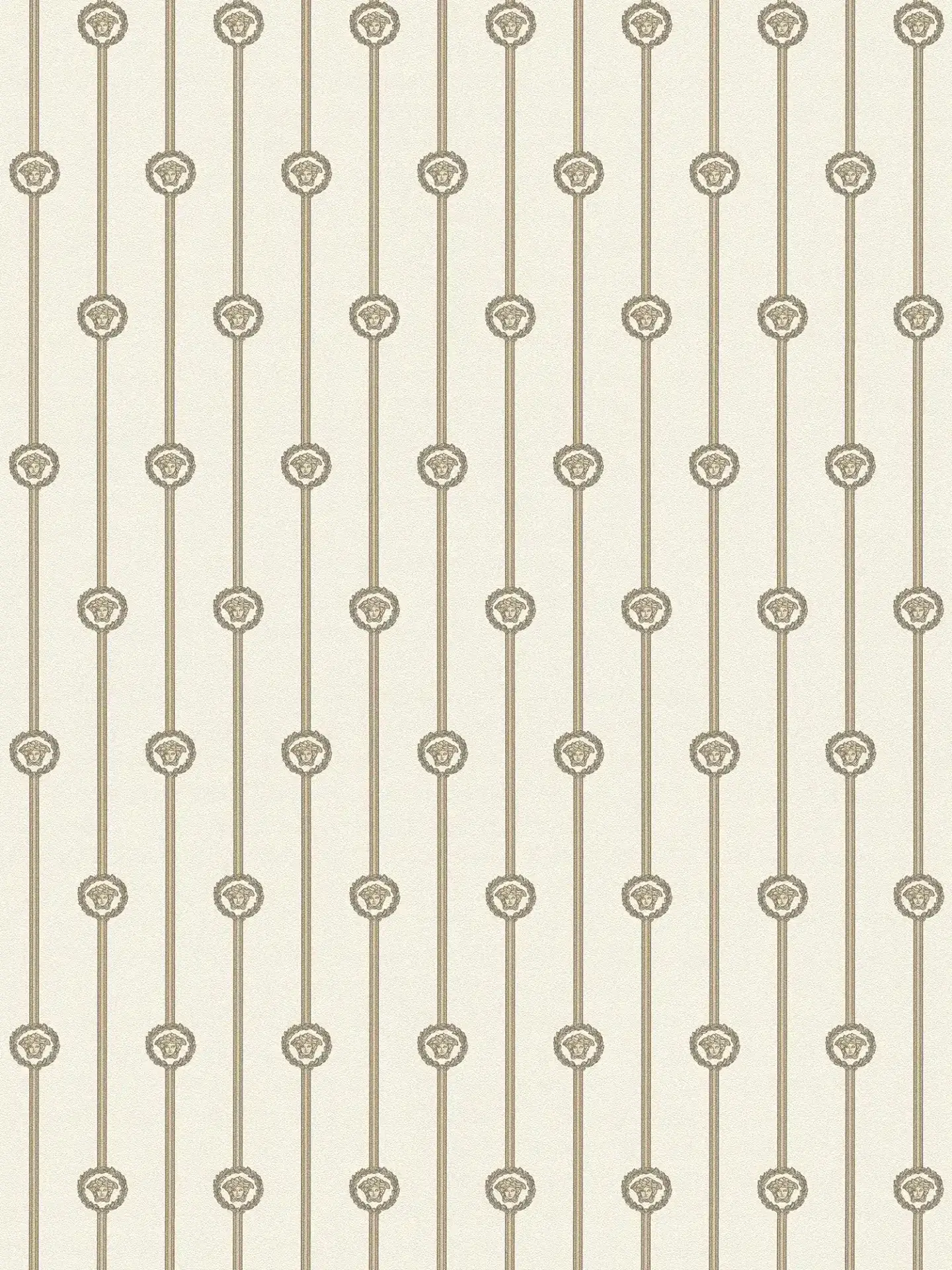 Vista frontal de Papel Tapiz Versace VI 791735