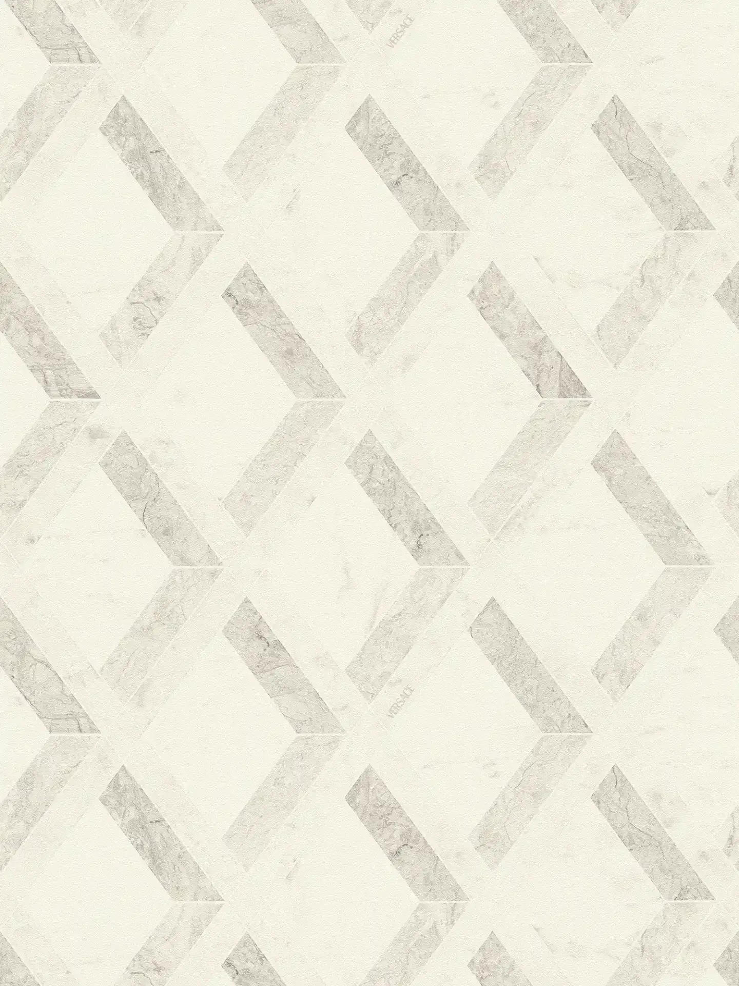 Vista frontal de Papel Tapiz Versace VI 791331