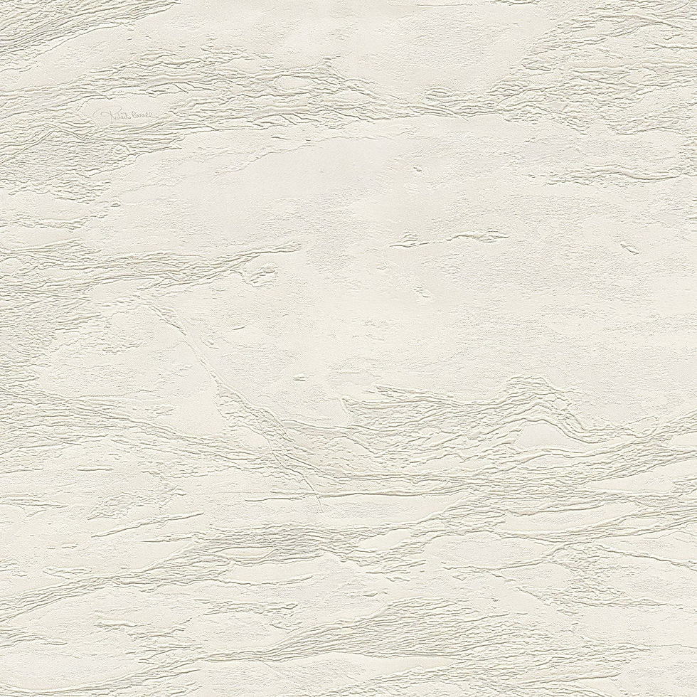 Vista frontal de Papel Tapiz Papel Tapiz Roberto Cavalli RC21025