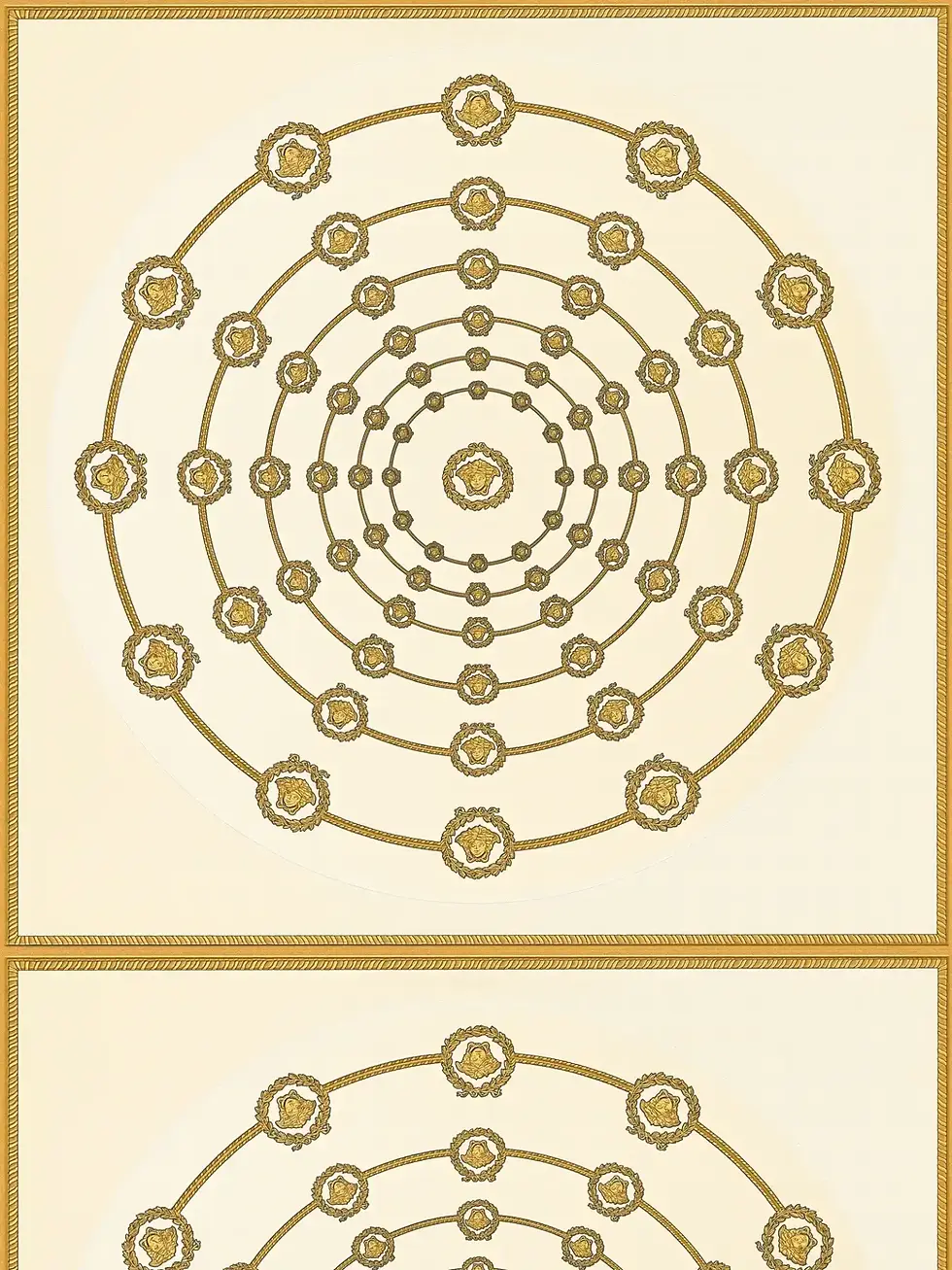 Vista frontal de Papel Tapiz Versace VI 791751