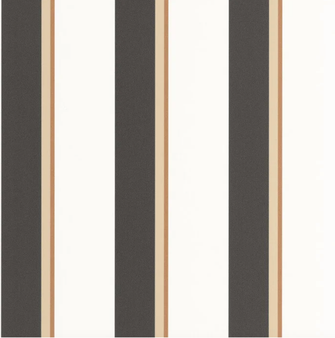 Graphic Caselio 105530941