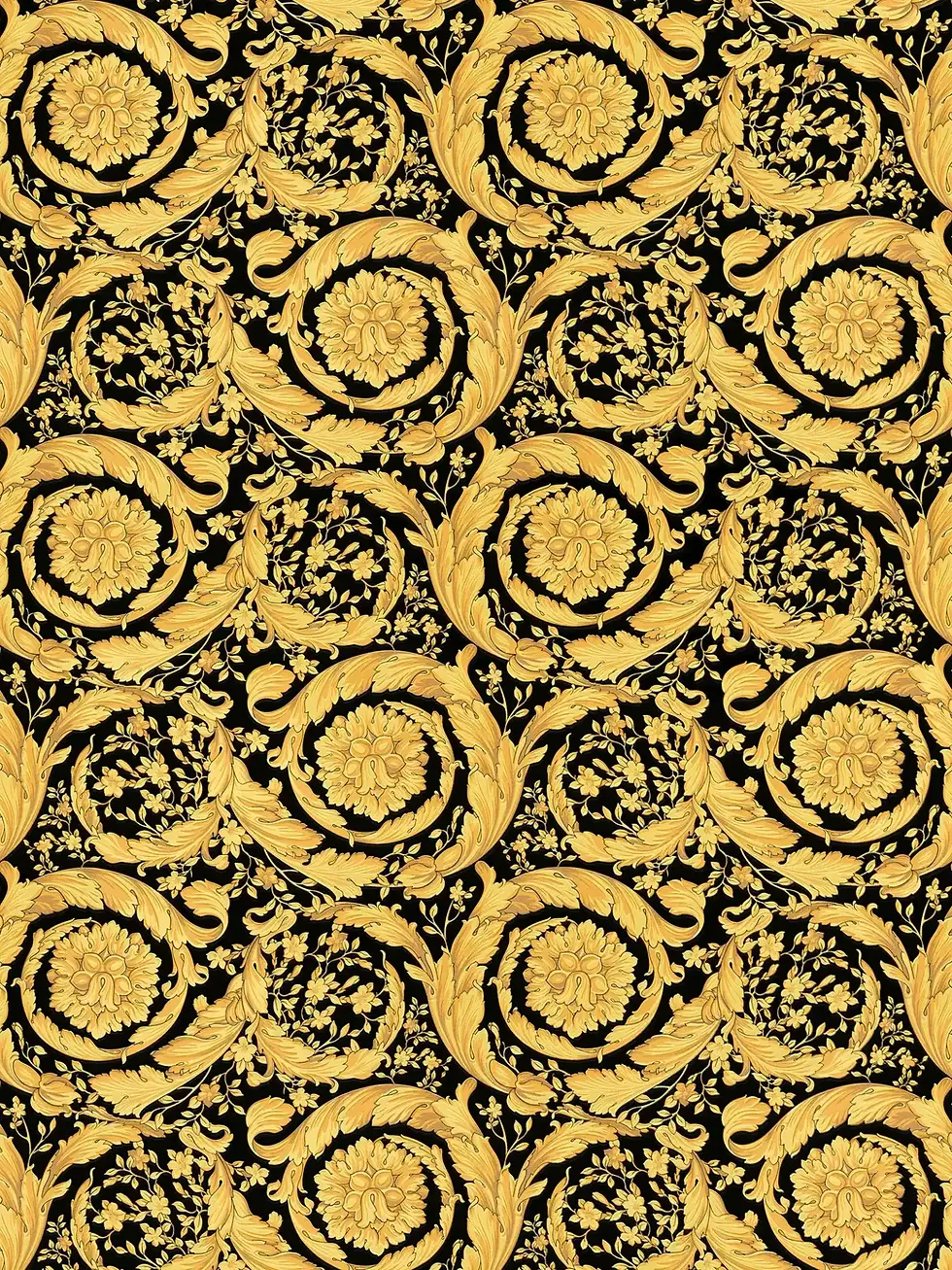 Vista frontal de Papel Tapiz Versace VI 935834