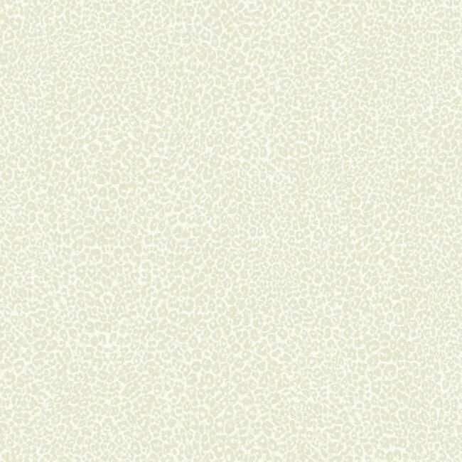 Tropics TC2682