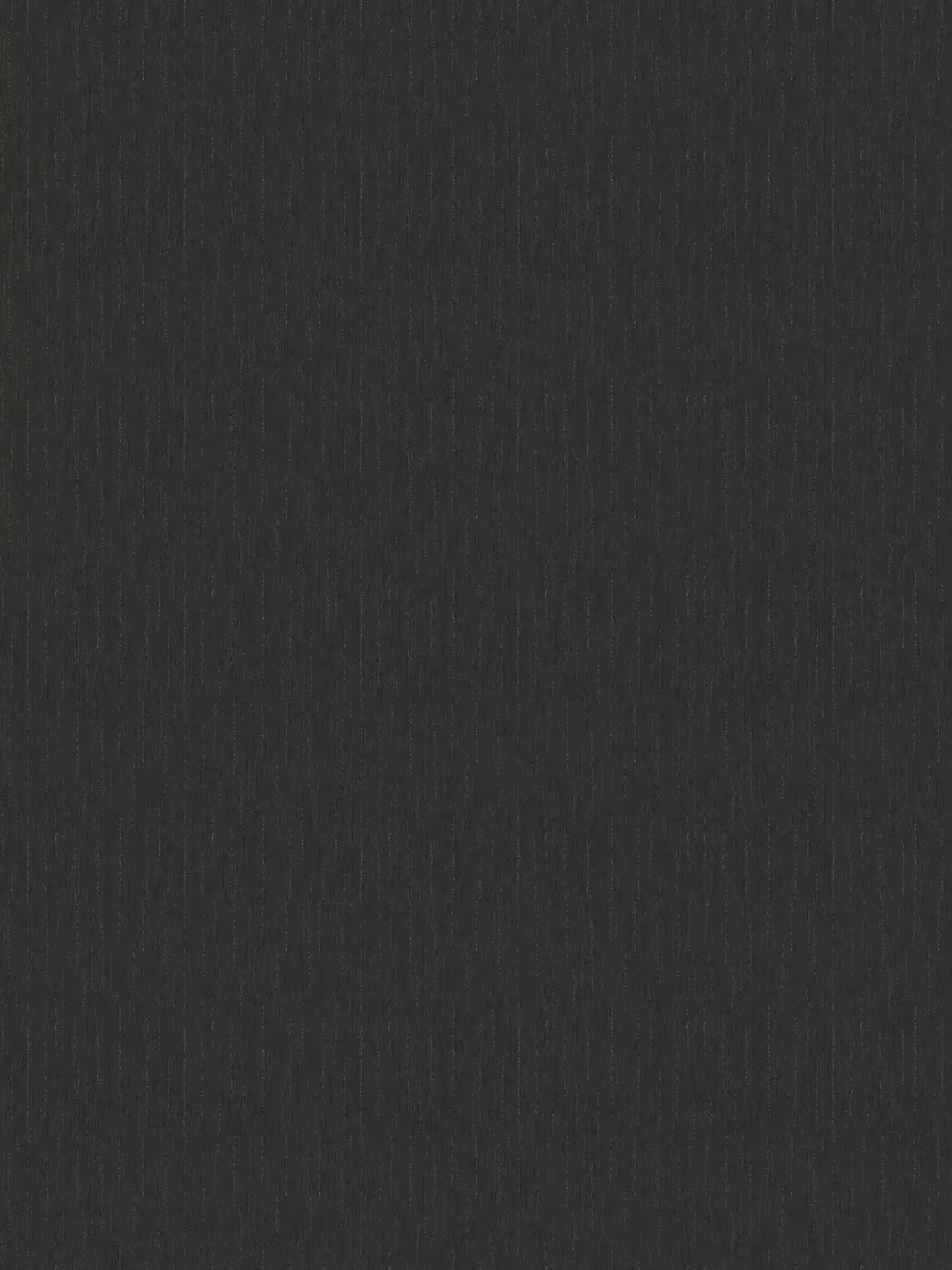 Vista frontal de Papel Tapiz Versace VI 343273