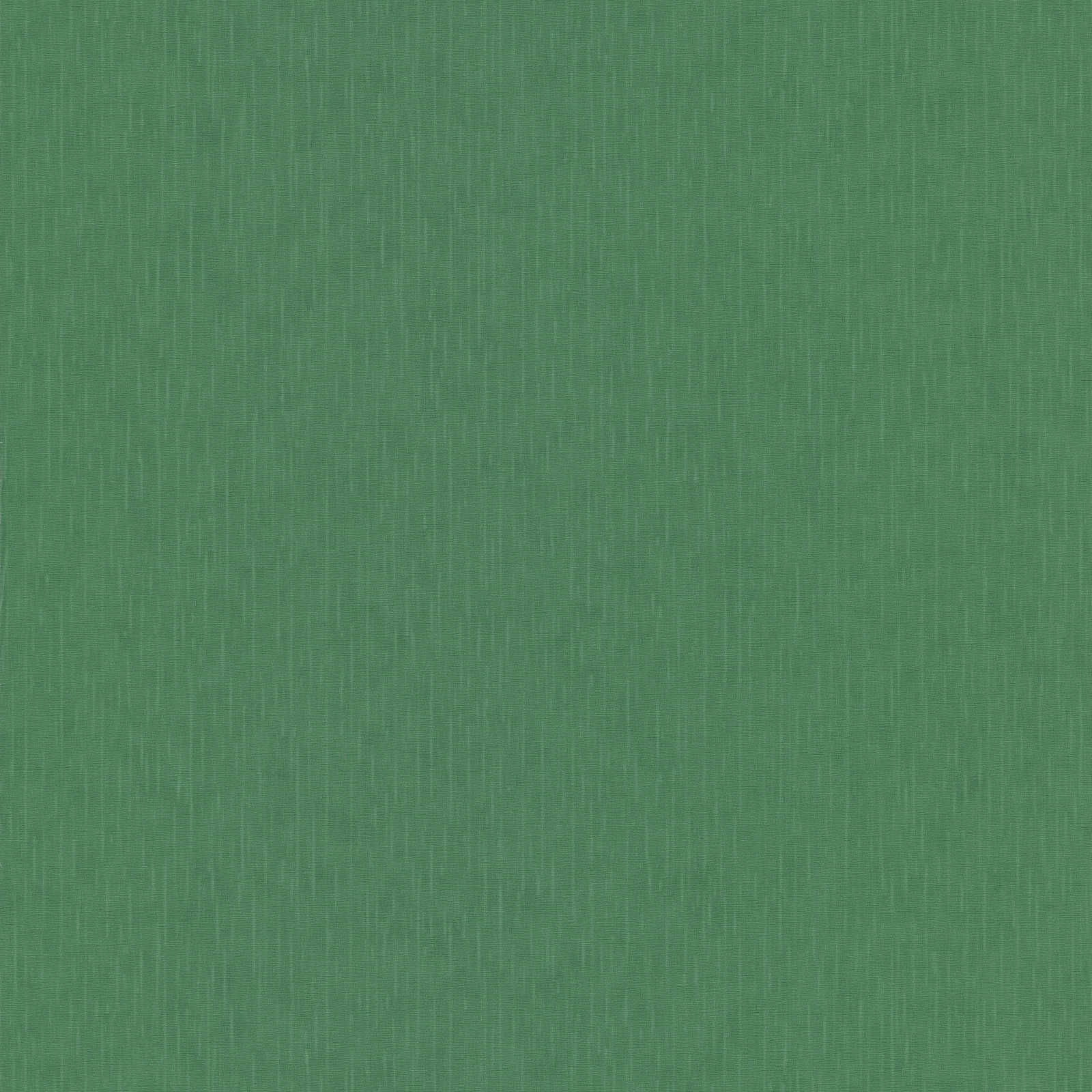 Vista frontal de Papel Tapiz Versace VI 383838