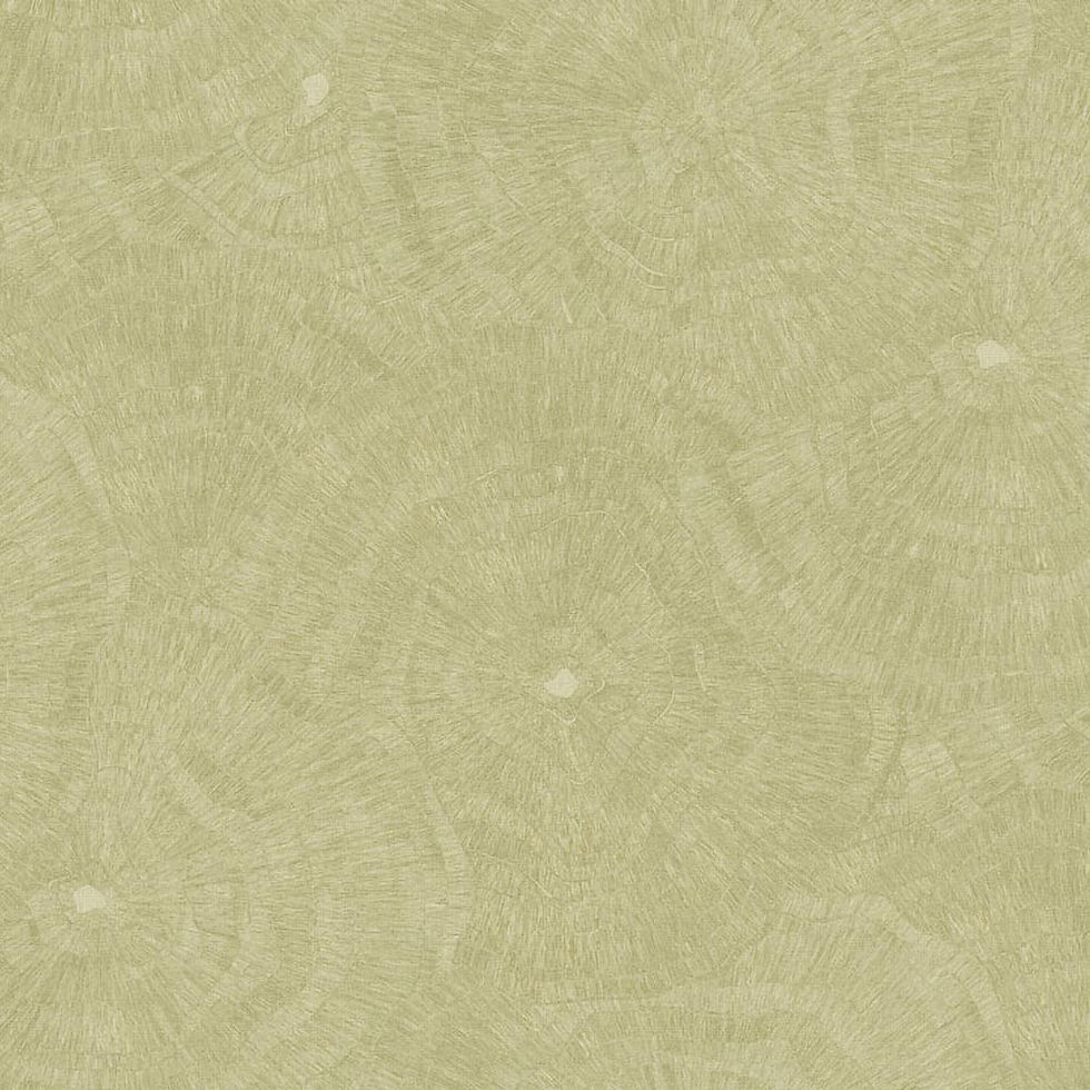 Vista frontal de Papel Tapiz Metamorphosis 6625