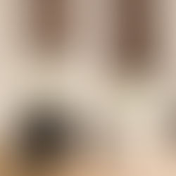 Comedor clásico con persianas café