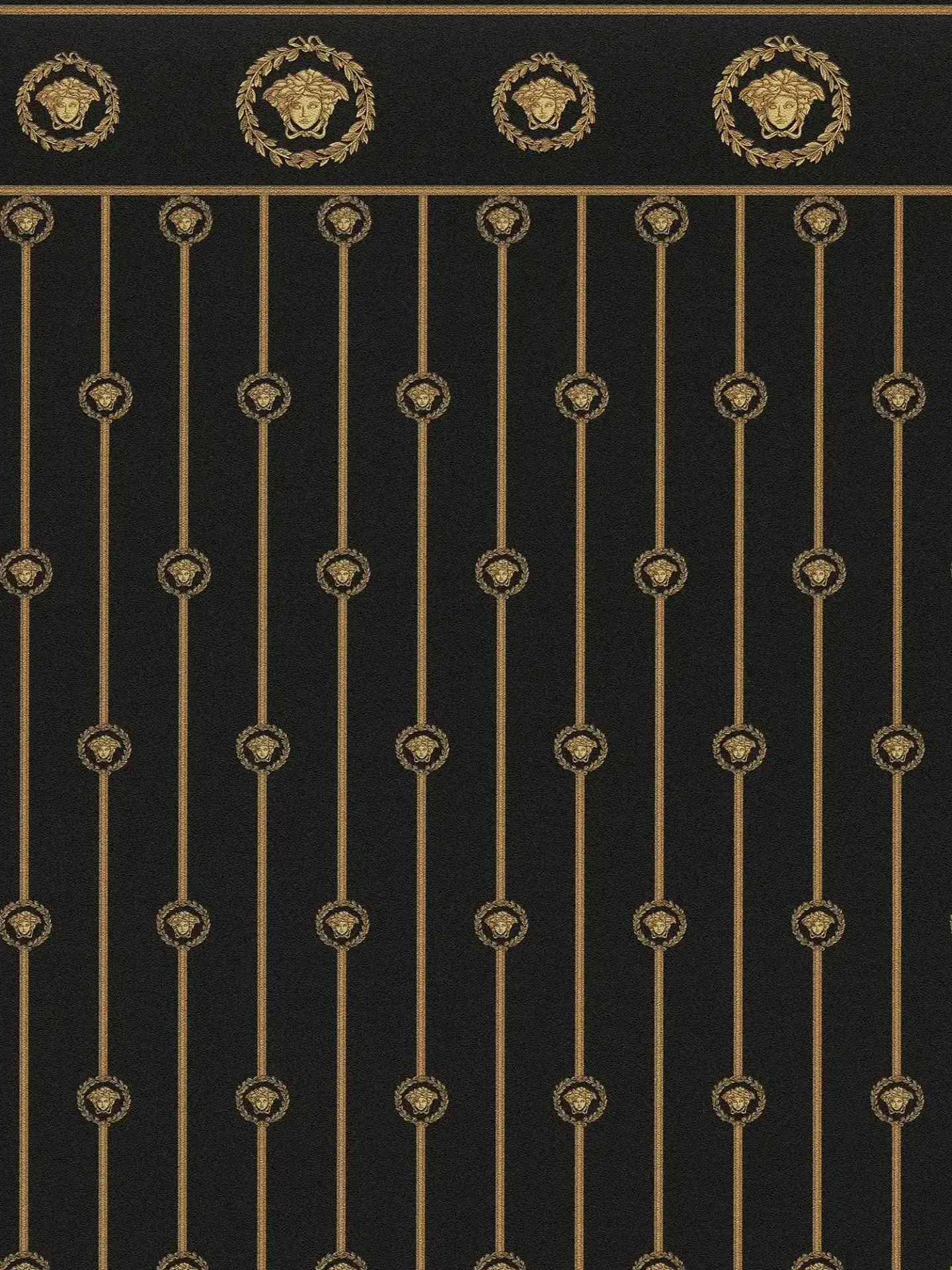 Vista frontal de Papel Tapiz Versace VI 791312