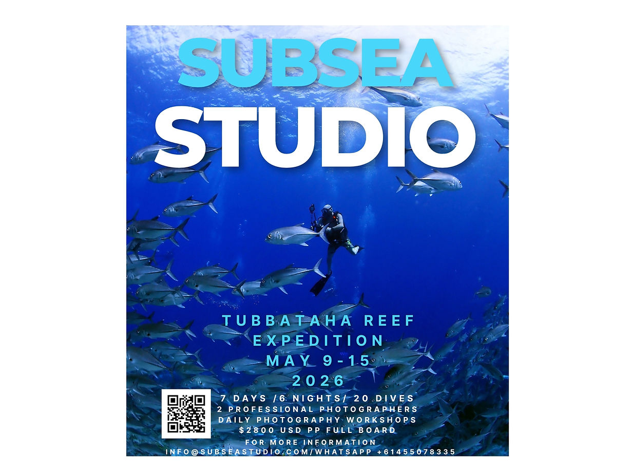 SUB SEA STUDIO.jpg