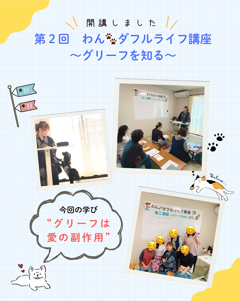 第3回わん🐾ダフルライフ講座〜人とペットの防災〜 開講しました