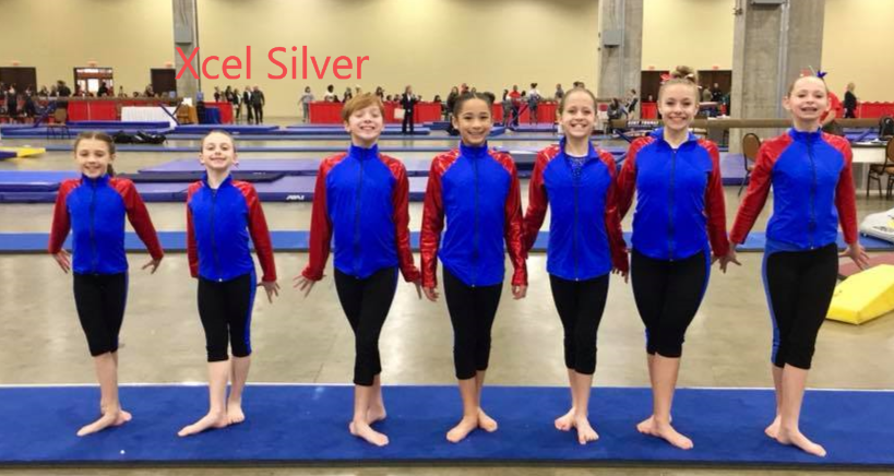 Xcel Silver