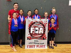 FCA 3