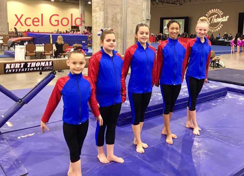 Xcel Gold