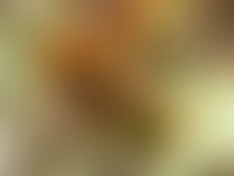 SOS Save Our Shrubs (and Trees)