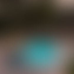 Brush, Shock & Let It Be