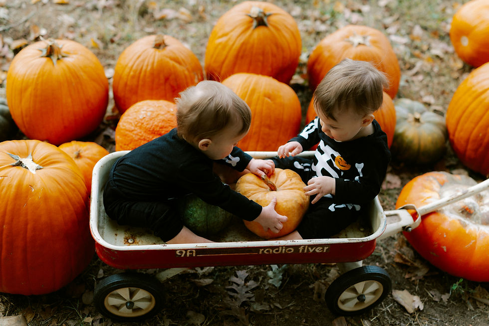 Autumn Activities