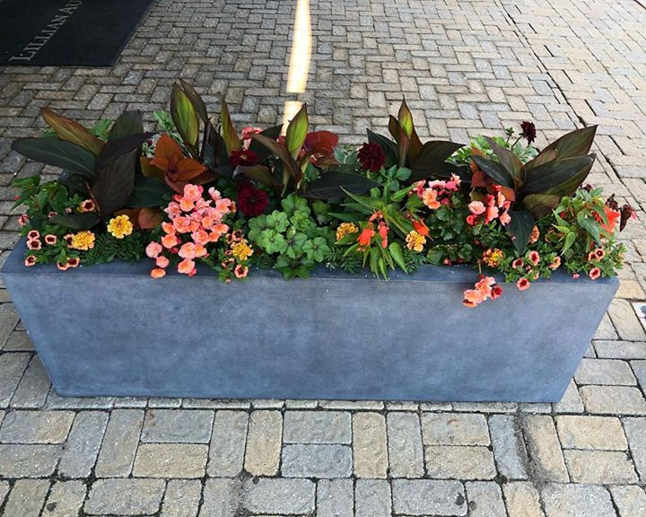 #containergardens _florallandscapedesign