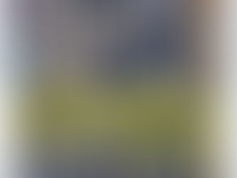 Bryant Park: The Grace Building