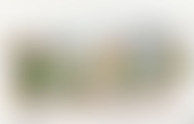 A Blog Within a Blog