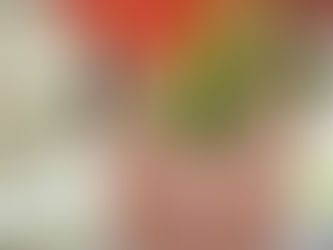 BirthdayLiveといちご狩り