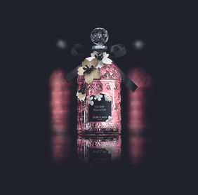 Collaboration Franco-Japonaise