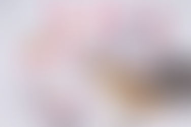 La saison des renards…